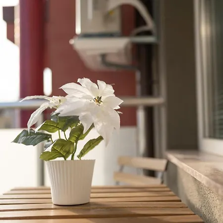 Chic Blossom