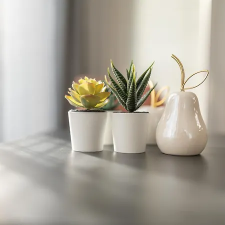 Appartement Chic Blossom *